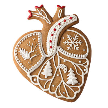 Festive Anatomical Heart Shaped Gingerbread Cookie