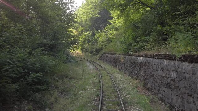 Passenger train rides by rail in a beautiful mountain forest at sunset