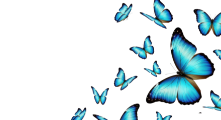 Vibrant iridescent Blue Morpho butterflies, varying sizes, turquoise and sapphire wings, fluttering mid-air against a transparent background with copy space. Natural beauty, freedom concept
