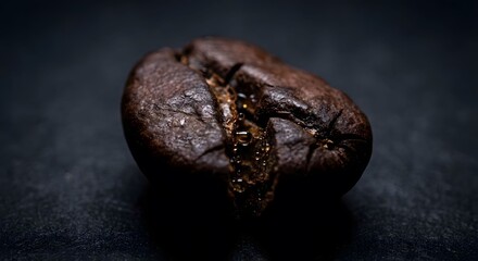Obraz premium Macro shot of a dark roasted coffee bean with oil droplets, showcasing its rich texture and natural sheen on a deep black background.