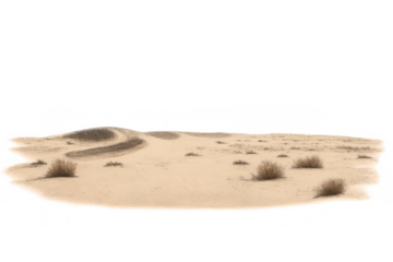 Desert sand dune landscape with dry shrubs on sandy terrain, representing arid wilderness and global warming, transparent background