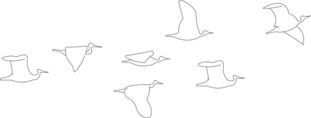 Minimalist line art vector illustration of geese. Set of bird outlines in various natural poses, including standing and feeding positions.