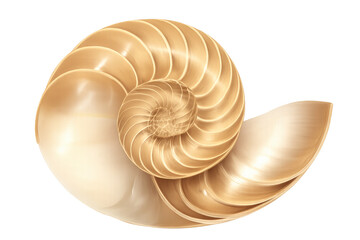 Obraz premium Nautilus shell showing a precise golden ratio spiral, symbolizing natural symmetry and the fibonacci sequence, transparent background