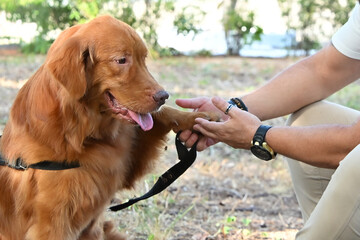 man with dog, dog, man holding dog leash outdoors, dog and owner resting in nature, companionship and trust during walk