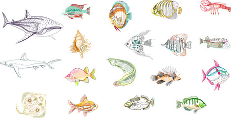 Detailed colorful vector illustration set of marine life featuring various tropical fish, sharks, shells, and lobsters in an artistic hand-drawn style.