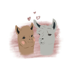 Illustration of two lamas in love on an artistic background. © Olesia Frei
