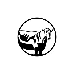 animal logo design, vector, silhouette, animal care, veterinarian, animal care, training, logo, symbol, design, illustration, graphic