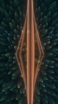 deep forest gradients compress into a single glowing line, line splits into multiple thin linear shapes