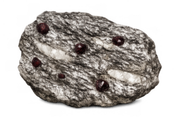 Metamorphic rock schist with embedded red garnet and white quartz minerals, geology studies, isolated on transparent background
