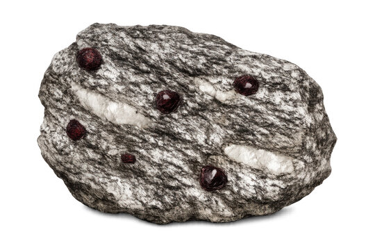 Metamorphic rock schist with embedded red garnet and white quartz minerals, geology studies, isolated on transparent background