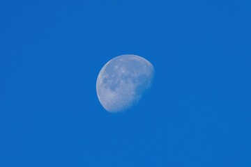 青空バックに見る冬の月の情景
