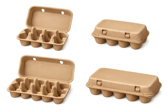 Empty egg cartons packaging set showcasing different sizes, closed and open, on transparent background for eco-friendly concepts