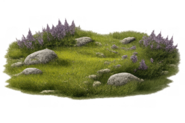 Green grass mound with rocks and purple flowers, isolated on transparent background, showing natural landscape element