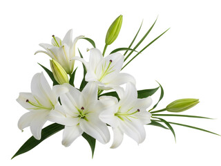 Soft beige and cream rose corner frame for wedding cards isolated on white background