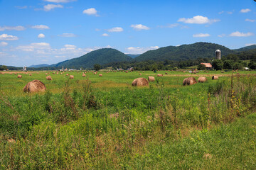 Hay bales and a farm outside Lost City, West Virginia