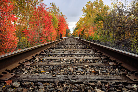 Autumn leaves surrounding rural train tracks receding into the distance