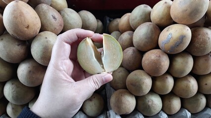 Close-Up of Hand Holding Cut Fresh Sawo or Sapodilla Fruit