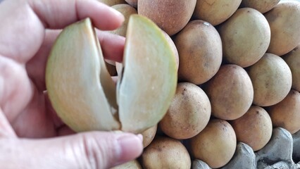 Close-Up of Hand Holding Cut Fresh Sawo or Sapodilla Fruit