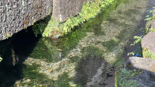 Cinematic view of a crystal clear stream with sunlight reflecting on the ripples