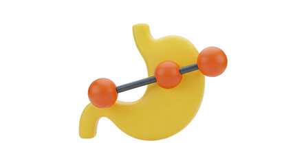 3D Stomach Model with Orange Spheres and Rod