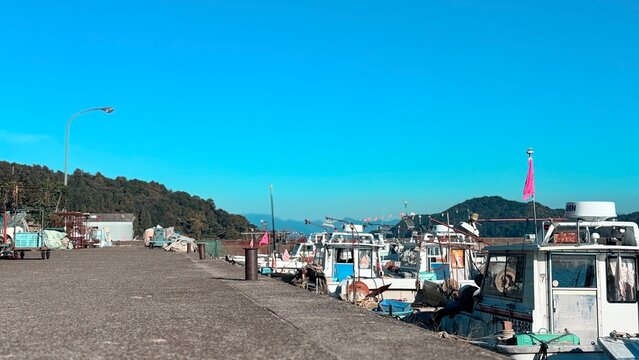 boats in the harbor