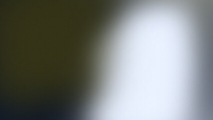 Dark green and white grainy abstract gradient background with cinematic blur.