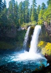 Obraz premium waterfall in the forest