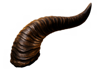Wild animal horn, brown textured surface, organic nature, strong rustic curved element, transparent background