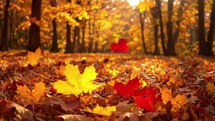 Textural Leaf Detail maple leaves autumn Extreme close up, macro shot highlighting the intricate veins and rich texture of a single