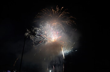 fireworks in the night sky