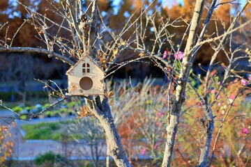 나무로 만든 새집