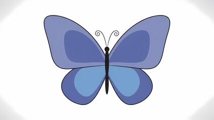 butterfly on a white background