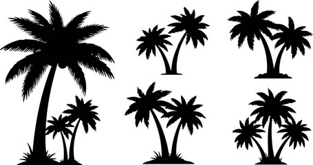 Obraz premium Black Silhouette Palm Trees Vector Collection for Tropical and Beach Design Elements 