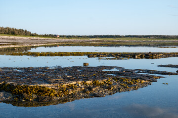 View of the Coast, Low Water at the Sunset in Baie Sainte-Claire, Anticosti Island, Quebec, Canada