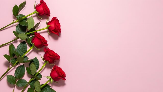 Valentine's day roses bouquet on pink background for lovers and romance