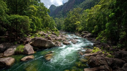 River rushes through boulders, surrounded by lush rainforest under a cloudy sky
