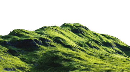 Green Mountain Landscape 