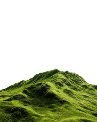 Green Mossy Hill 