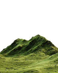 Green Hillside with Moss and Vegetation