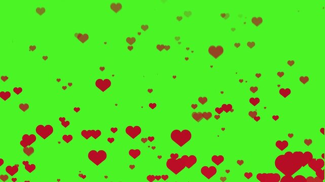 Red romatic hearts floating animation on green screen. Love romance valentine wedding overlay background. 4k video