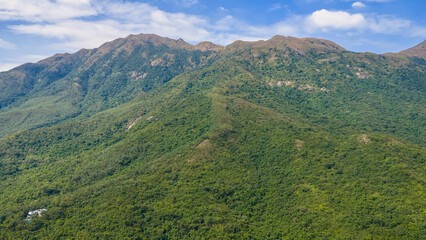Golden Grass Waves on Sunset Peak Hong Kong Oct 25 2025
