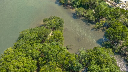 Estuary Waters Flow into Pui O Bay Hong Kong Oct 25 2025