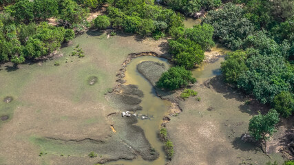 a Light Over Pui O Wetlands Hong Kong Oct 25 2025