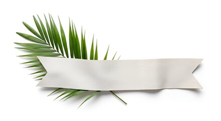 Obraz premium A delicate pale ribbon banner is layered behind vibrant green palm leaves, casting soft shadows on