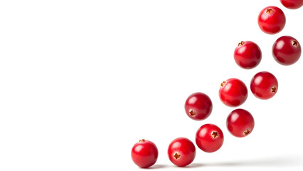 Fresh Cranberries Isolated With Copy Space