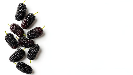 Fresh Mulberry Isolated With Copy Space