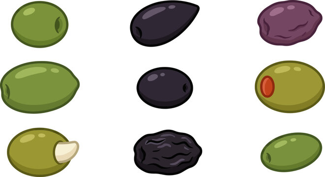 Variety of green and black olives vector illustration