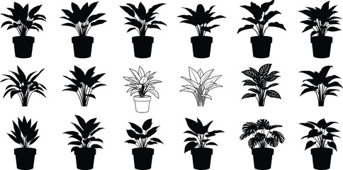 Indoor Houseplant Silhouette Vector Collection Set of Potted Greenery Monstera and Philodendron Icons for Home Decor Gardening and Interior Design © MdAnowarHossain