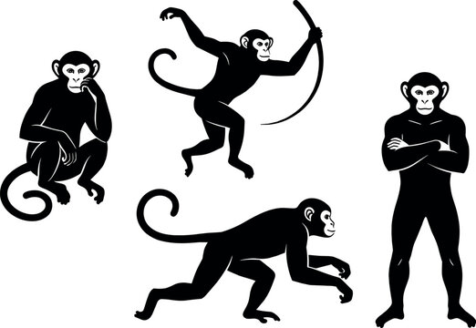 Four monkeys in different poses silhouette