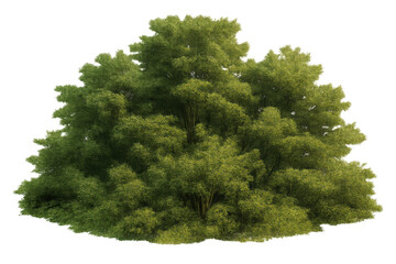 Green forest clump with multiple trees and shrubs, showing lush foliage on a transparent alpha channel background